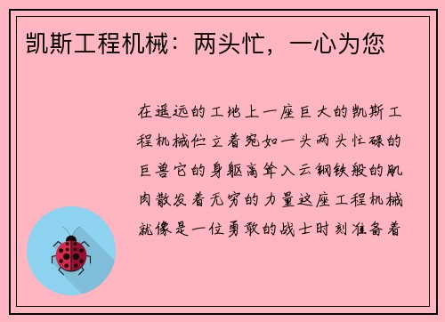 凯斯工程机械：两头忙，一心为您