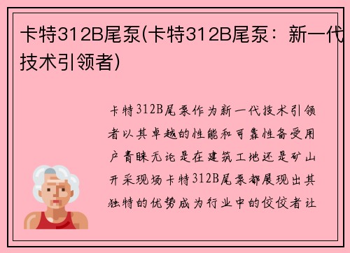 卡特312B尾泵(卡特312B尾泵：新一代技术引领者)